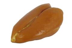 GEROOKTE KIPFILET HALF (st.)